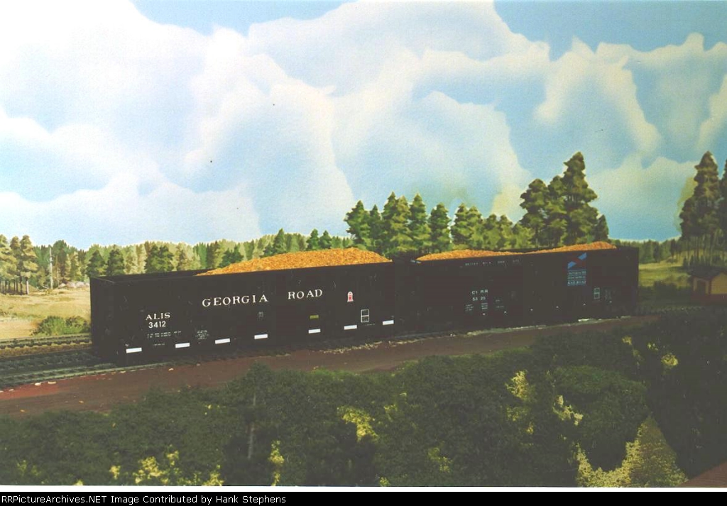 Georgia Road and Chattahoochee Industrial woodchip cars sit near Dudley Lumber Co.