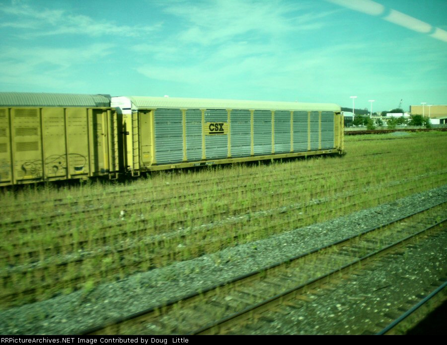 TTGX 963519