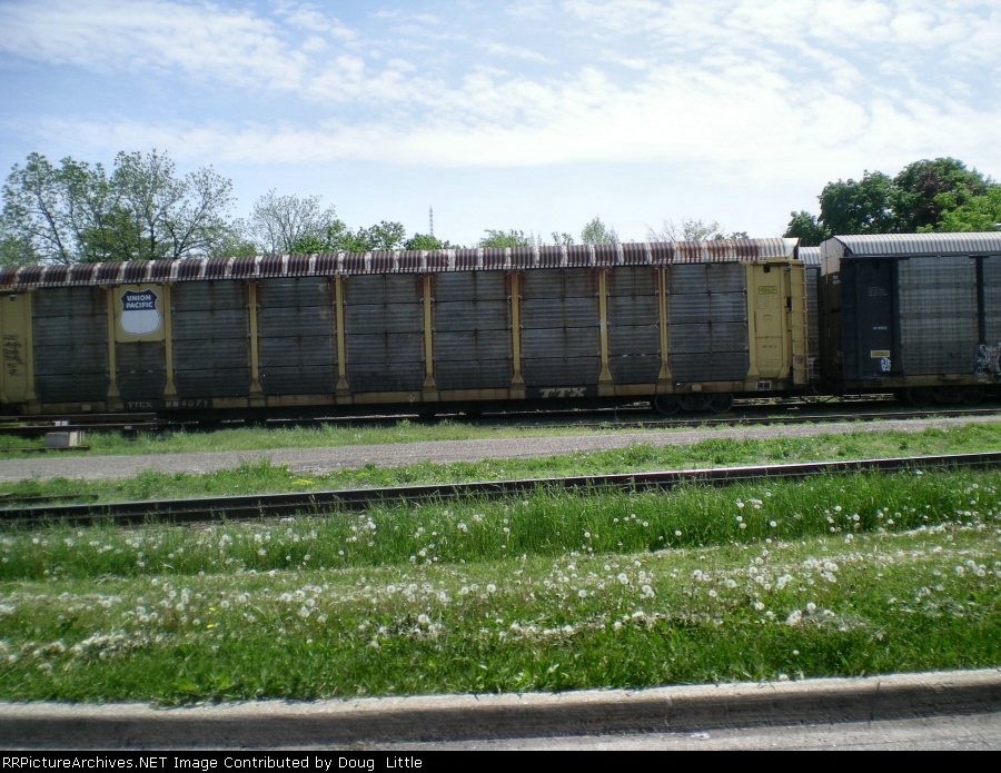 TTGX 964071