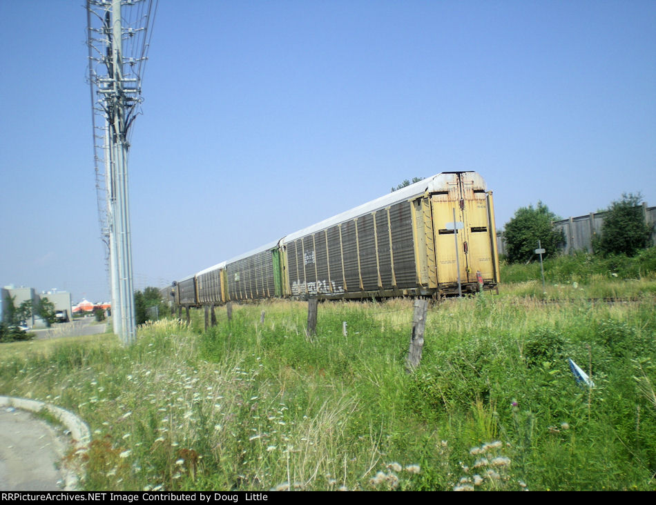 TTGX 964288