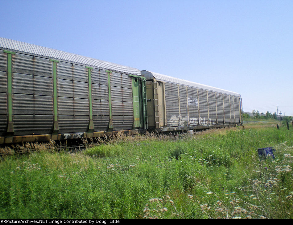TTGX 964288