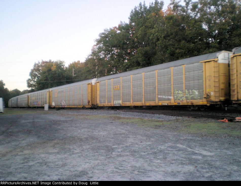 TTGX 956273
