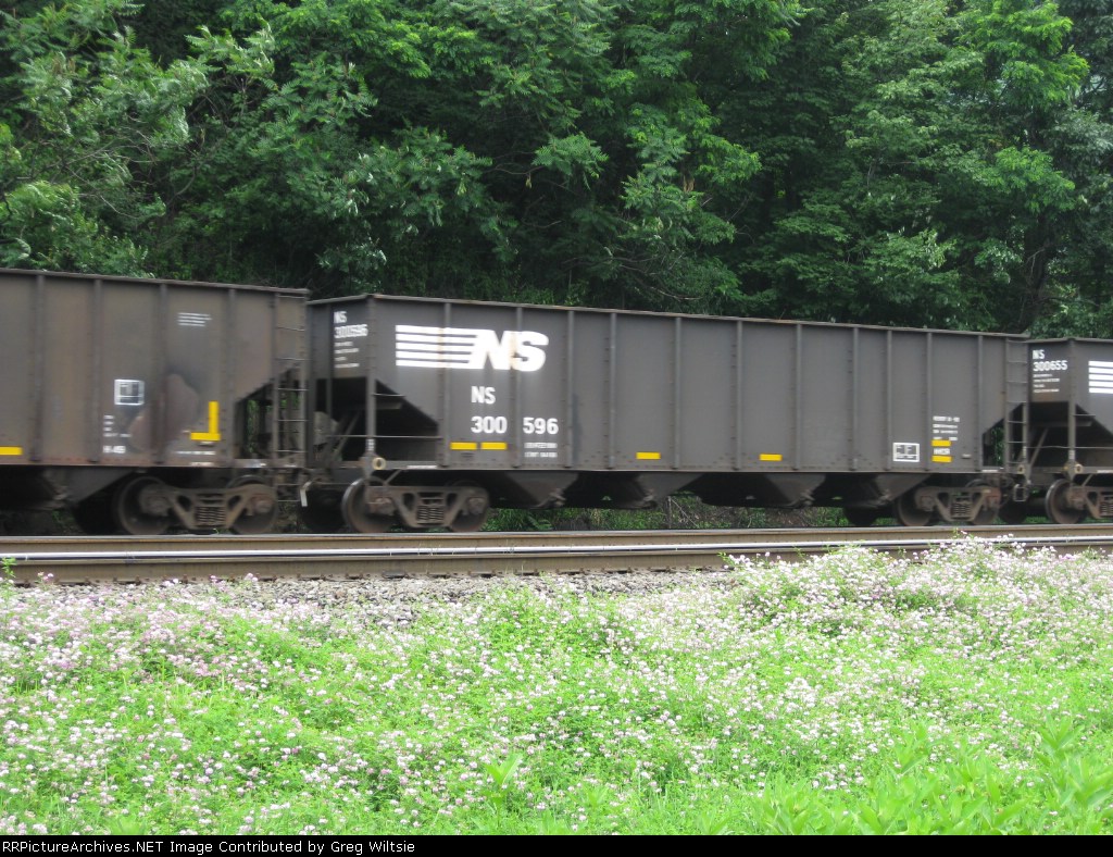 NS 300596