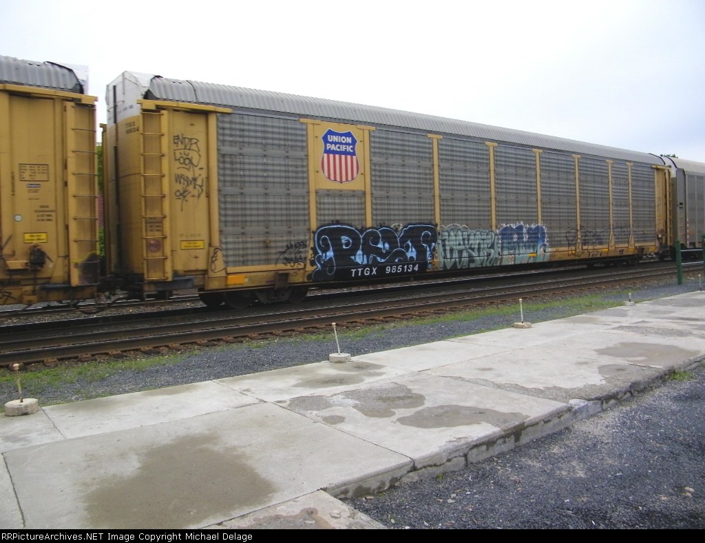 TTGX 985134