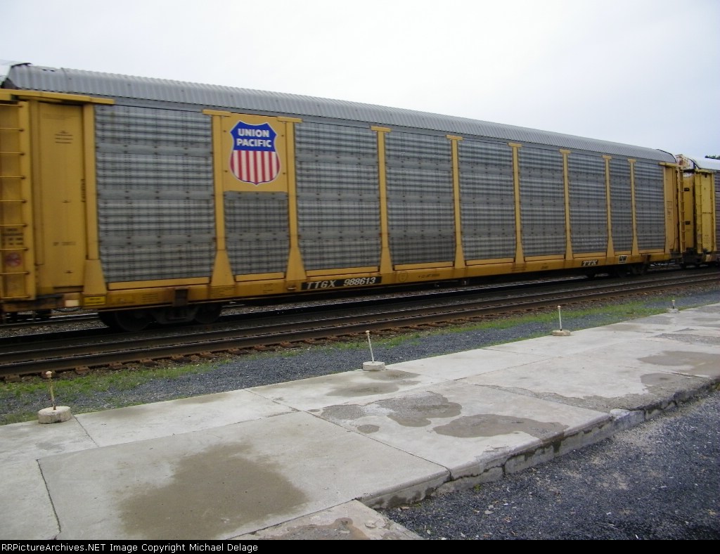 TTGX 988613