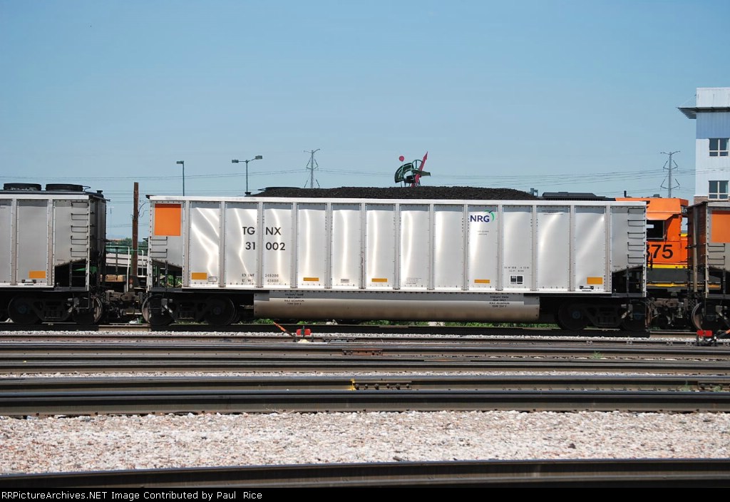 TGNX 31002