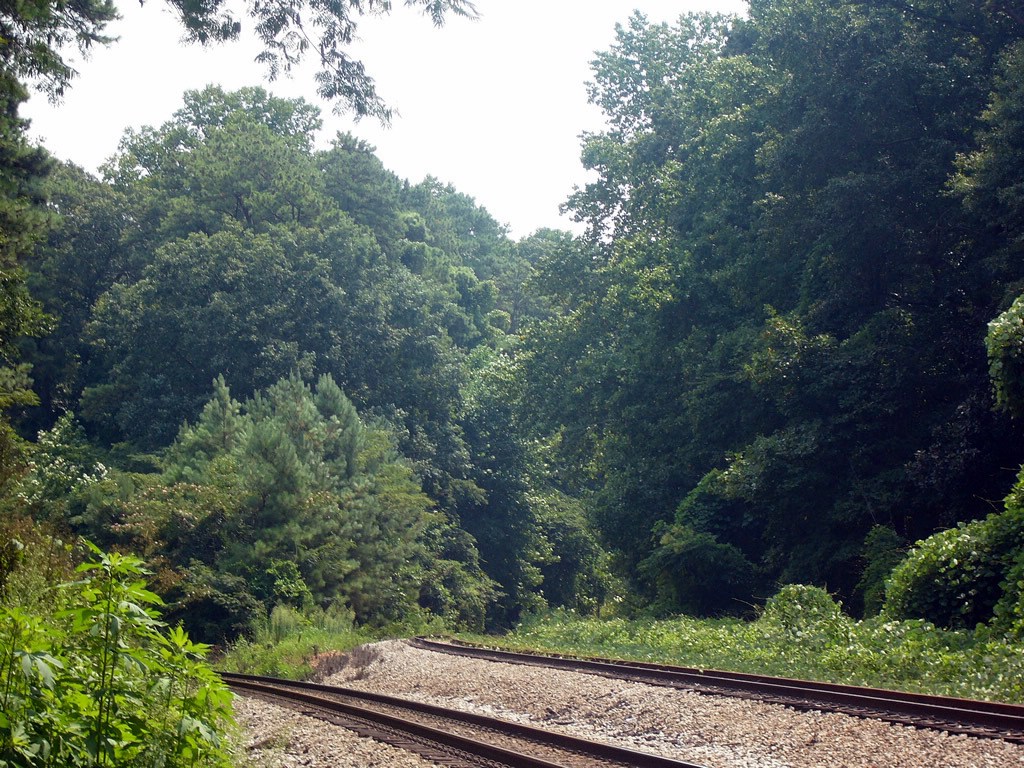 The West Side of the Wye at CSX's Belt Junction Near Emory Hospital in the Emory/Claremont/North Decatur Area of Dekalb County/Suburban Atlanta,GA