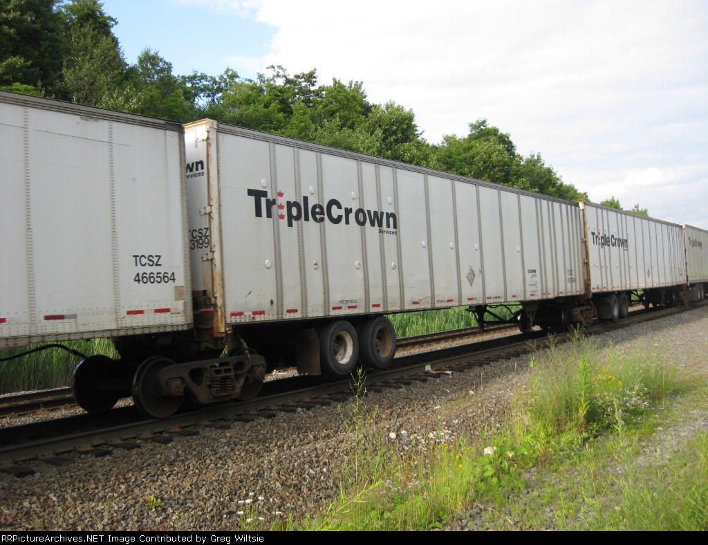 TCSZ 463199