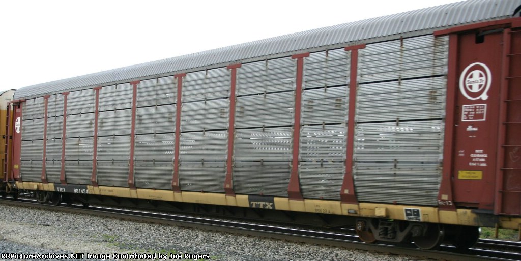 TTGX 981454