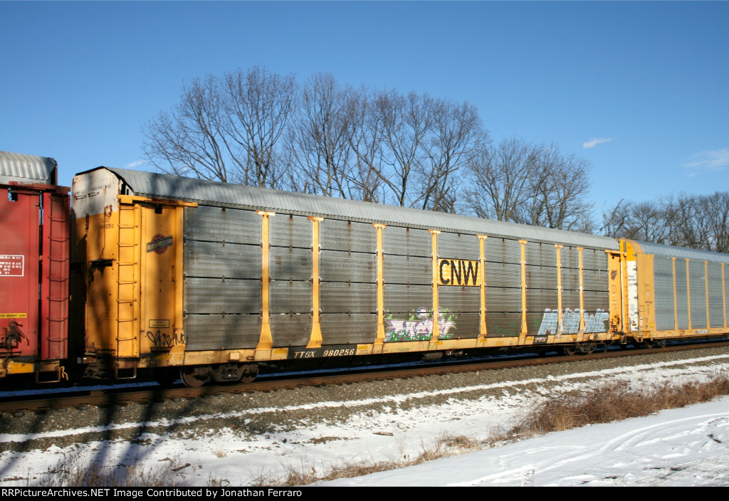 TTGX 980256