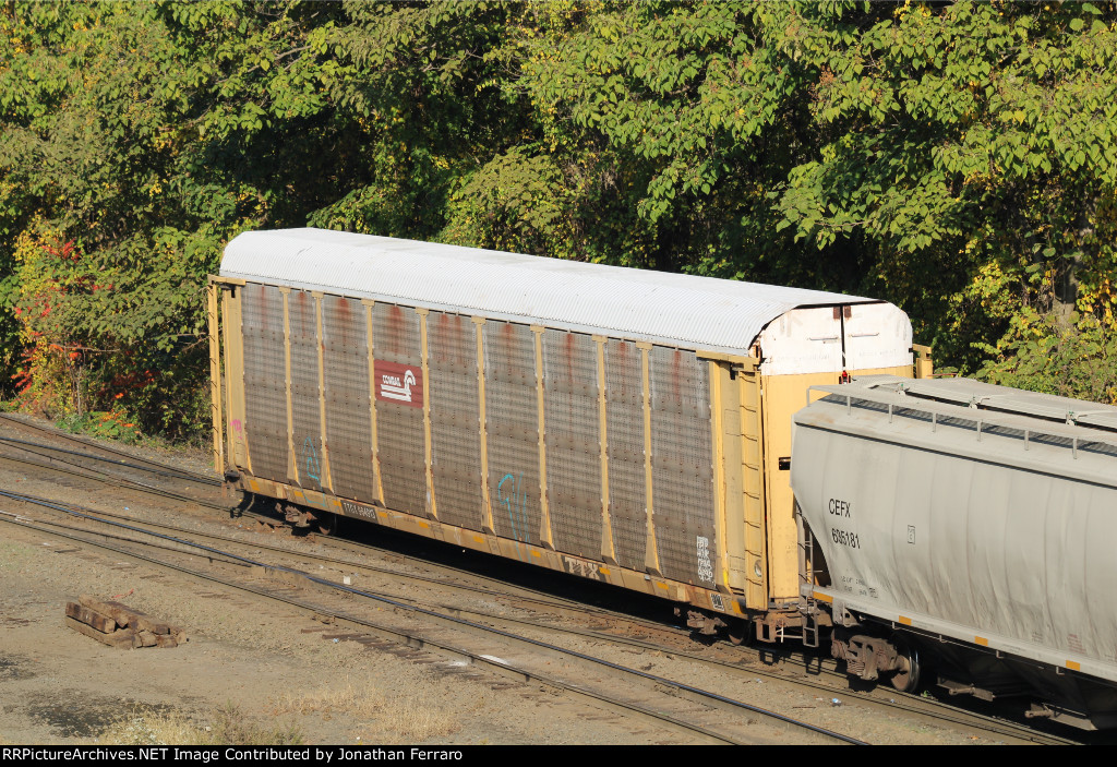 TTGX 964913