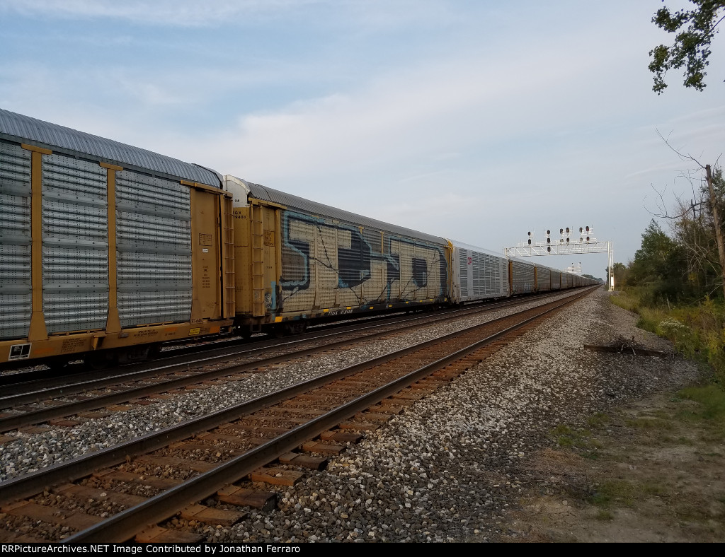 TTGX 979408