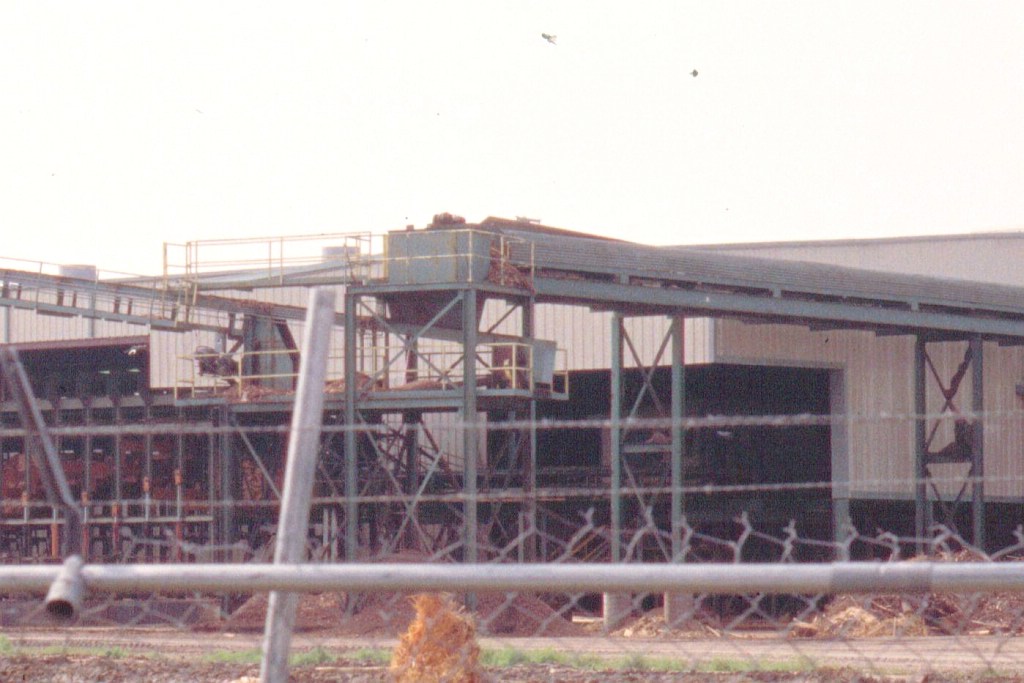 MLC conveyor belt