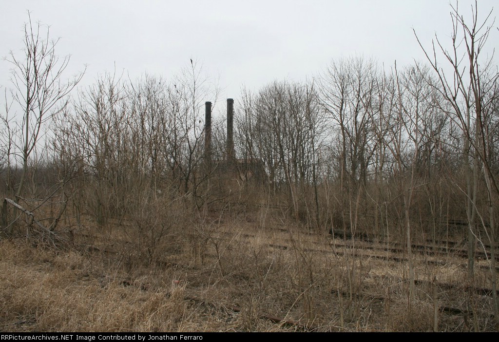 E.J. Lavino Mill and Yard