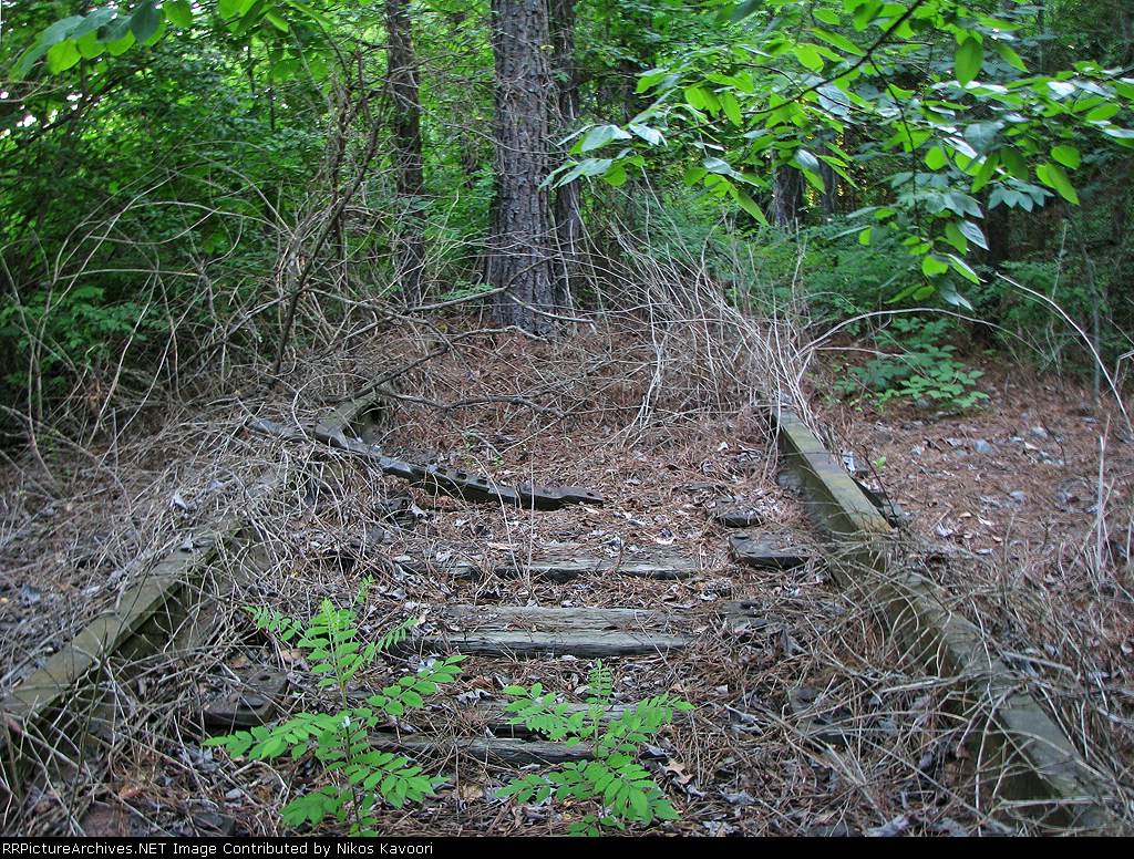 Large trees and heavy!overgrowth on the rails 