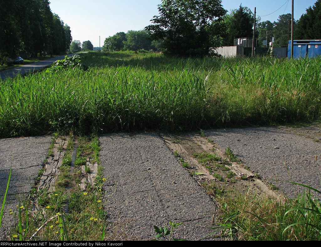 Grade crossing with encroaching weeds