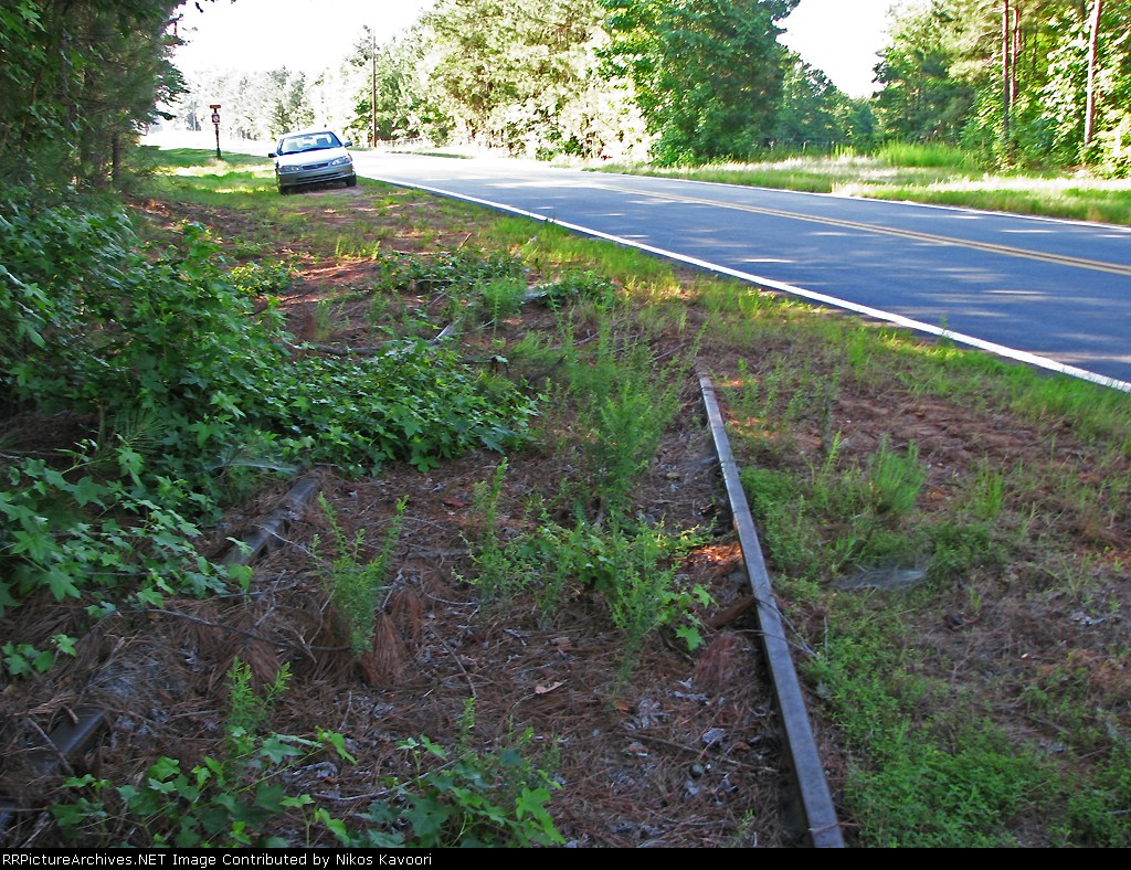 Heavily overgrown tracks at the paved over Apalachee Road crossing