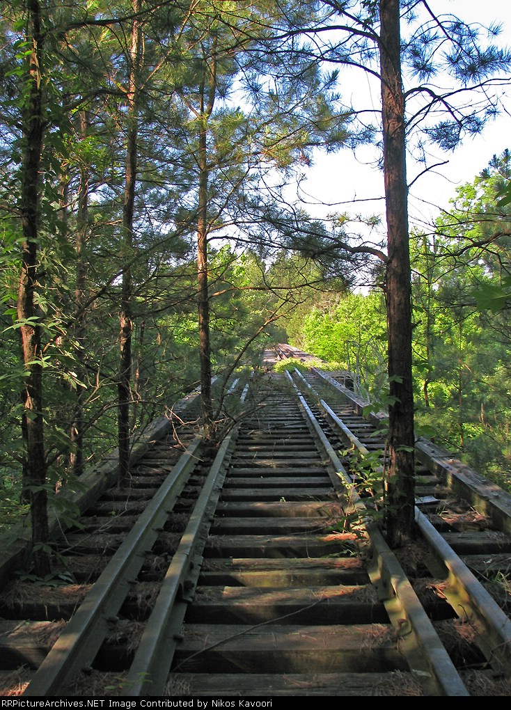 Trees growing through the Hard Labor Creek bridge