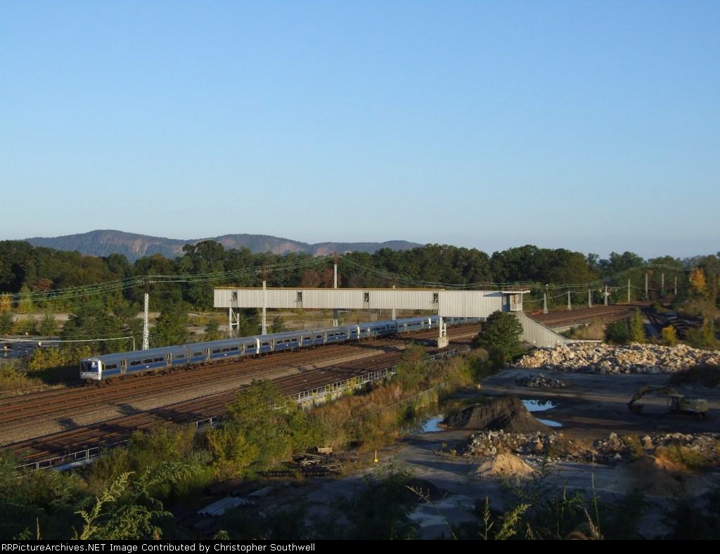 mutts pass through the ruins of the GM plant