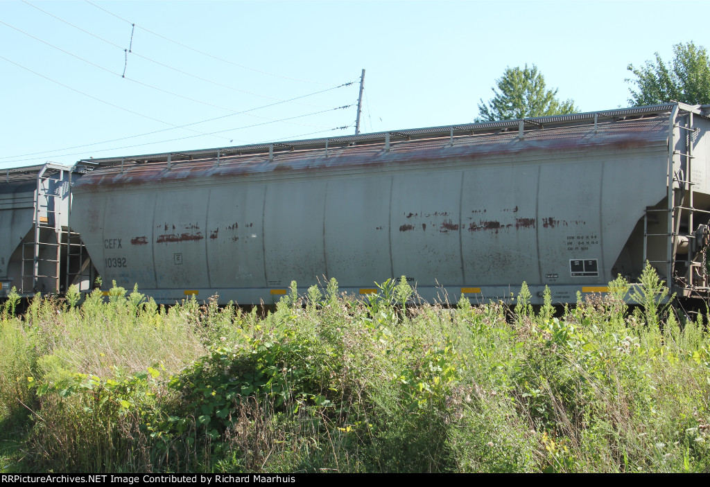 CEFX 10392