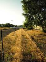 Moscow Seed Co siding and loadign track, lookign north at College St