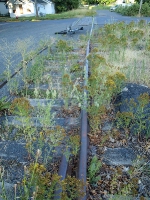 Removed switch points