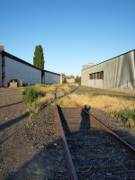 WATCO rebuild conecting to UP main