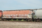 CN 383411