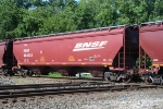 BSNF 484622