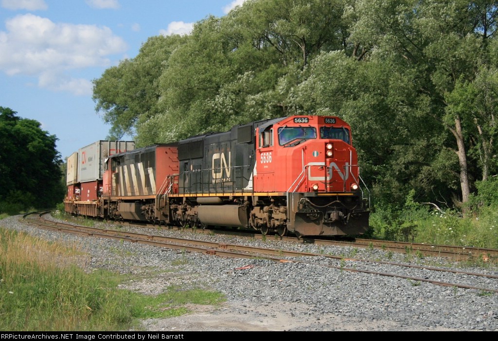 CN 5636