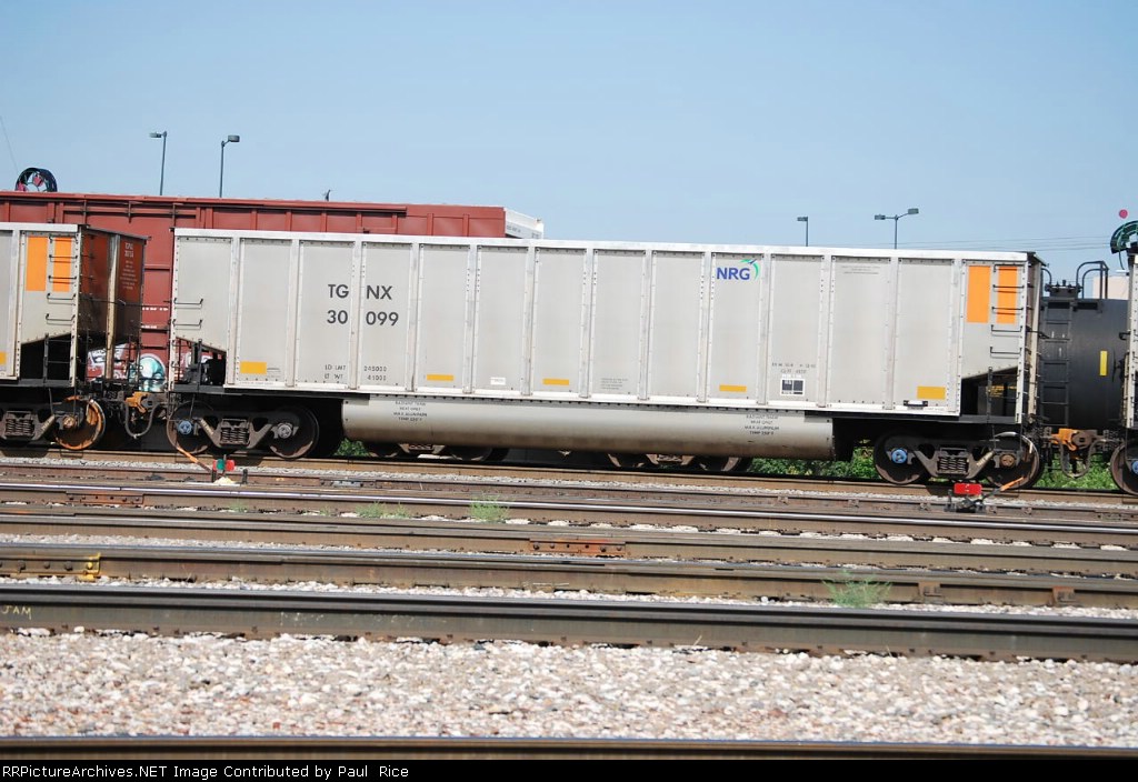 TGNX 30099