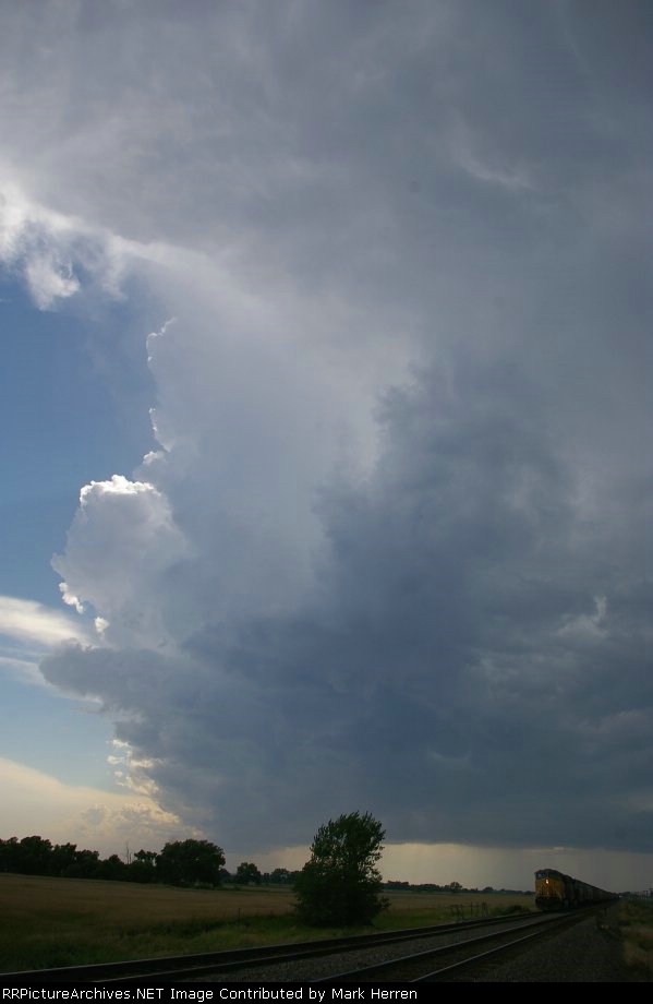 Summer Thunderstorm pt2