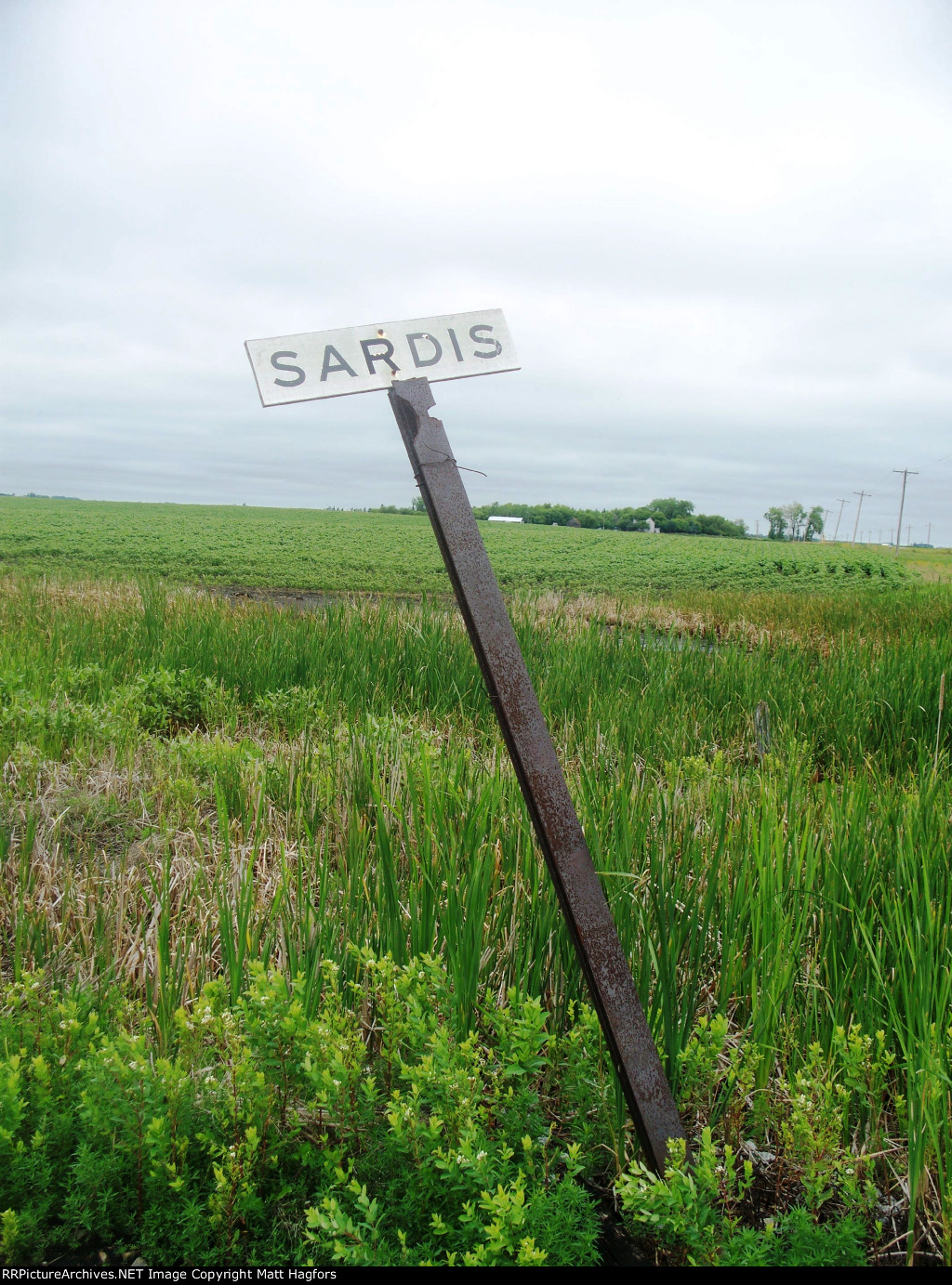 Sction Sign Sardis