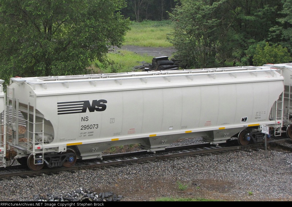 NS 295073