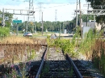Looking NB on Douglas Rd. Weeds are taking over the former main track at Vulcan on the former TT. Vulcan is where the TT crossed the LS&MS main.
