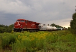 CP 8829