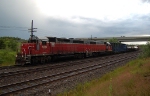 GEXR 4019