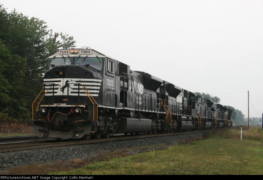 NS 7203