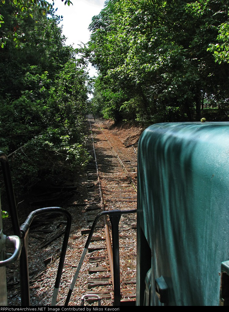 Wheres the brush cutter when you need it