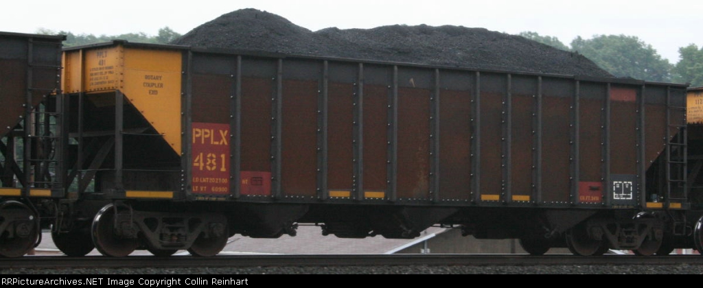 PPLX 481