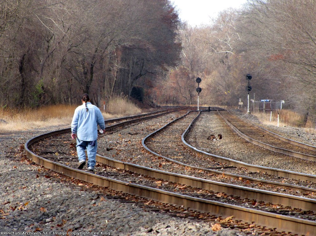 Forging a Trail Westward