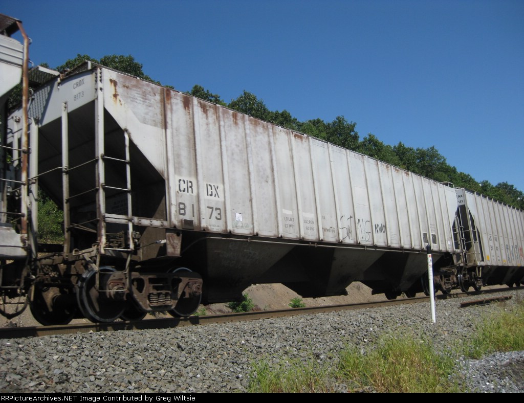 CRDX 8173