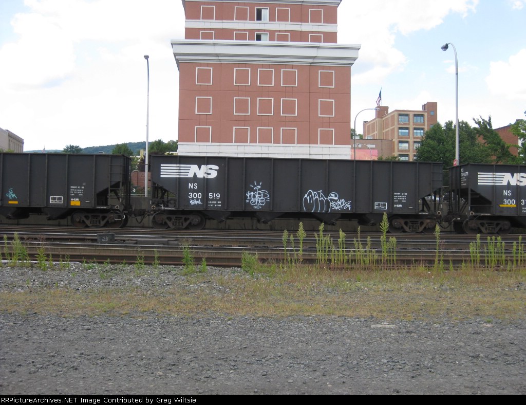 NS 300519