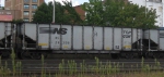 NS 29309