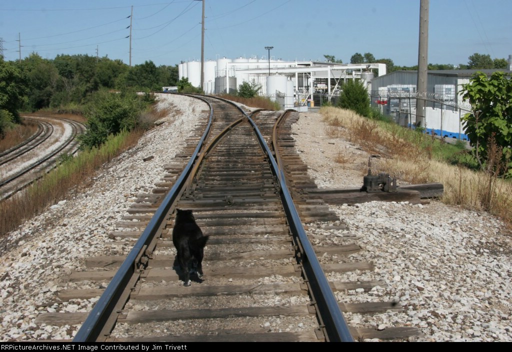 Bart explores the steep connection track between CSX and INRD tracks