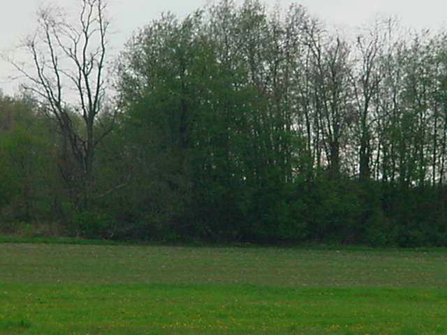 Former South Penn ROW