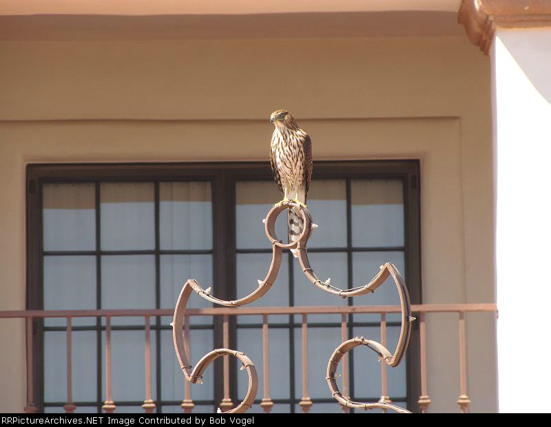 Amtrak and Metrolink station
