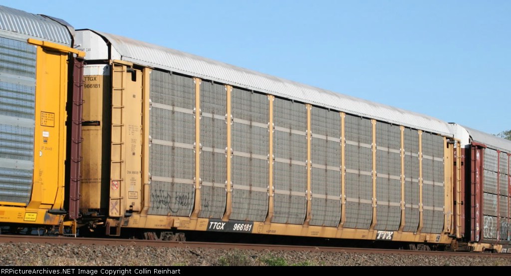 TTGX-966181