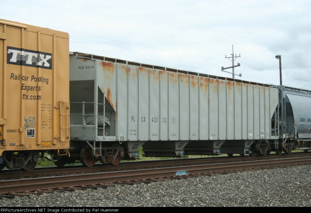 PLCX 43113