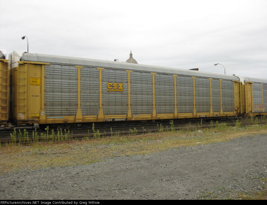 TTGX 996042